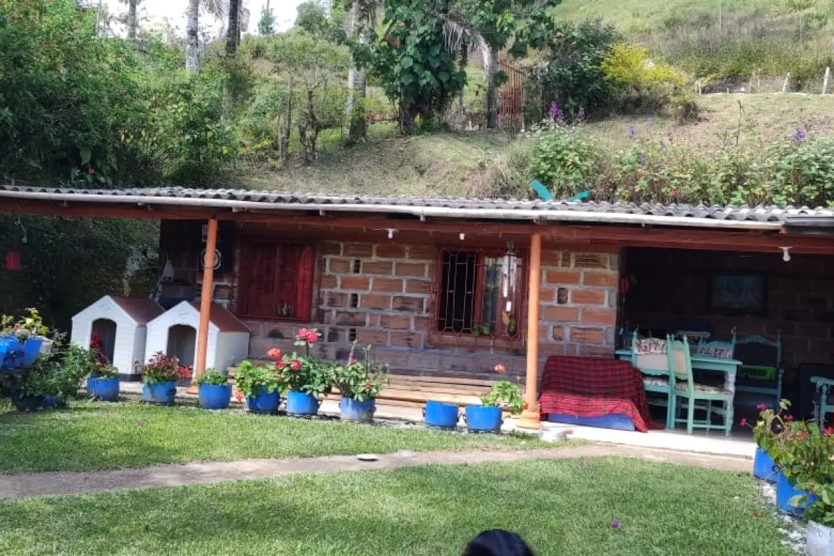 Imagen Extra
